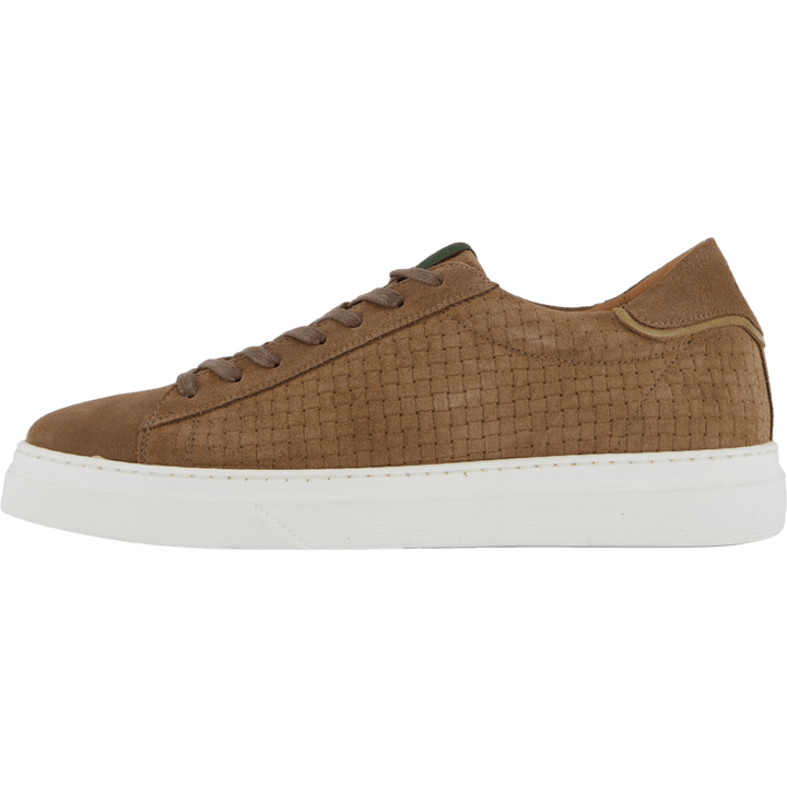 Brian Taupe