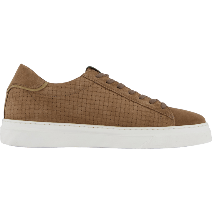 Brian Taupe
