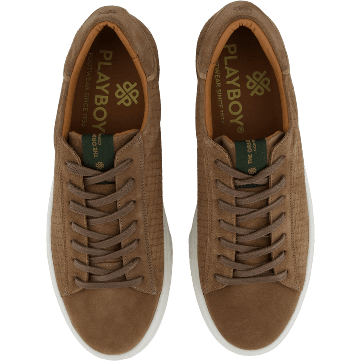 Brian Taupe