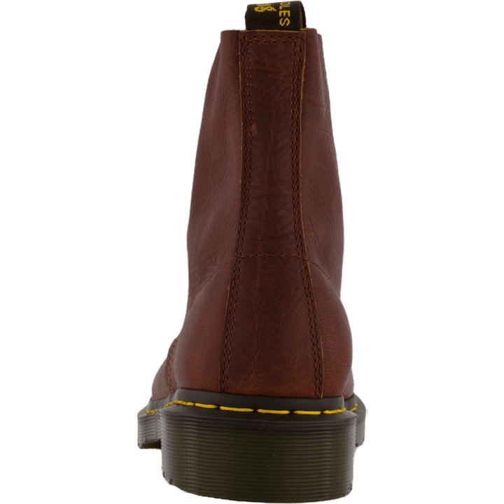 1460 Pascal Cashew Ambassador