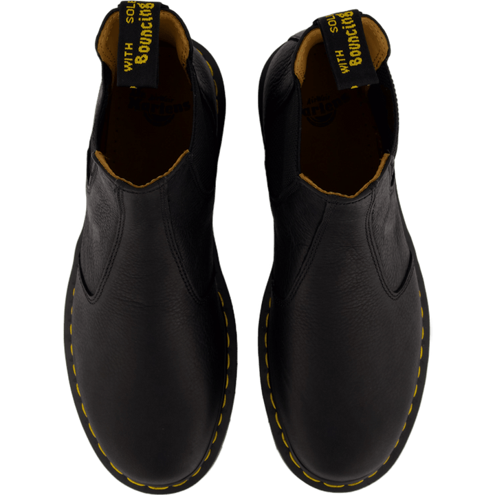 2976 Black Ambassador