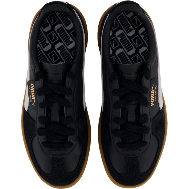 Palermo Black-feather Gray-gum