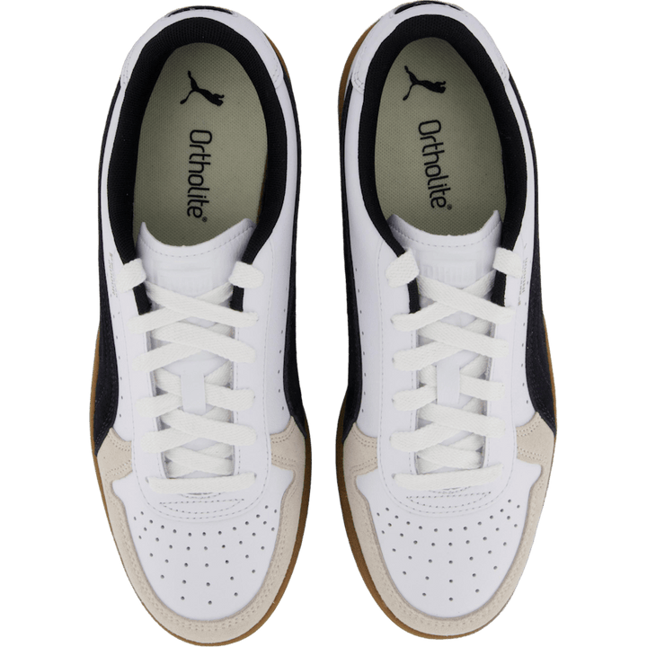 Indoor White-dark Myrtle-gum
