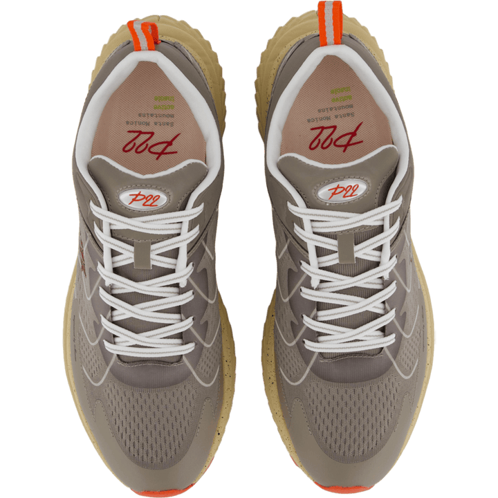 P22 Brown/red
