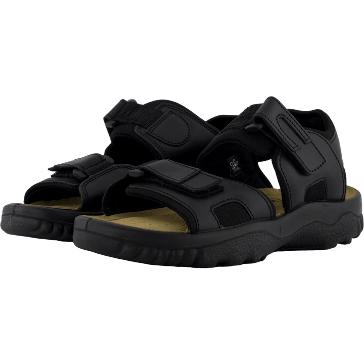 31-82650 Black