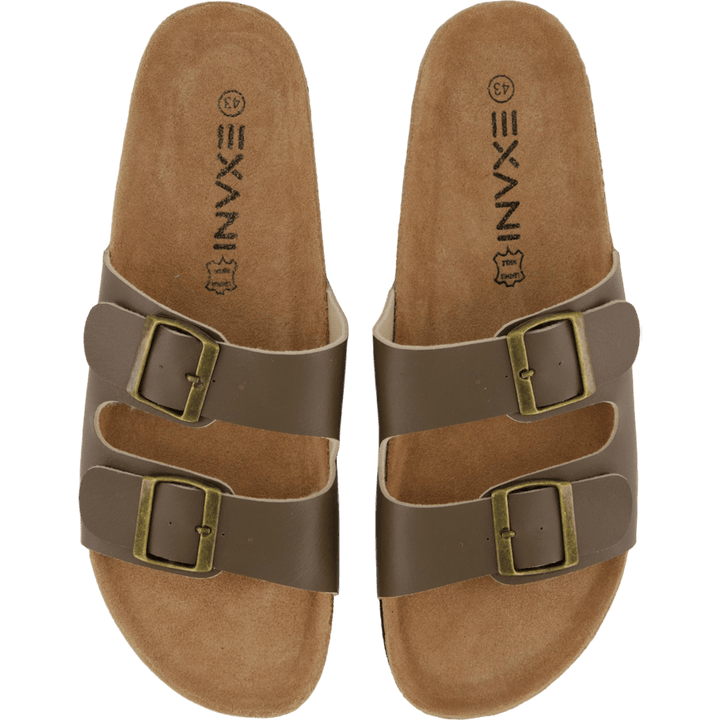 Spectra M Brown