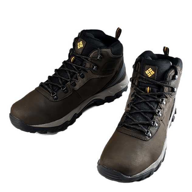 Newton Ridge Plus II WP Cordovan /Squash