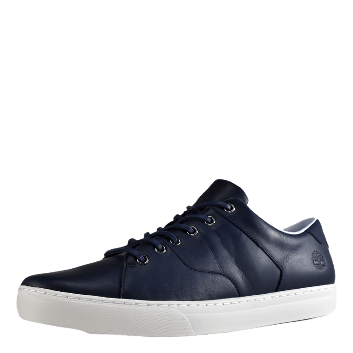 Adventure 2.0 Cupsole Black Iris