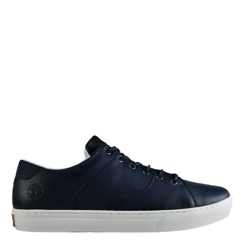 Adventure 2.0 Cupsole Black Iris