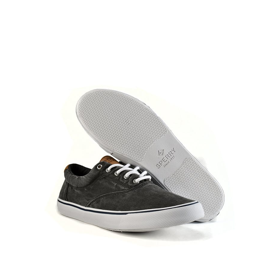 Striper Ii Black