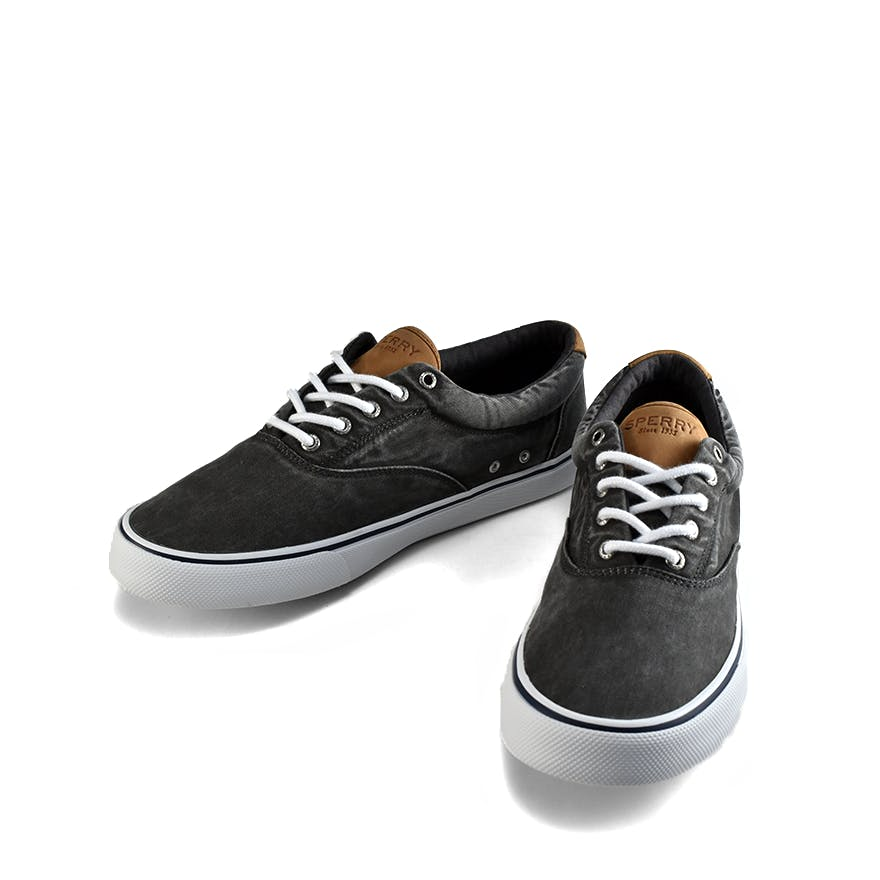 Striper Ii Black